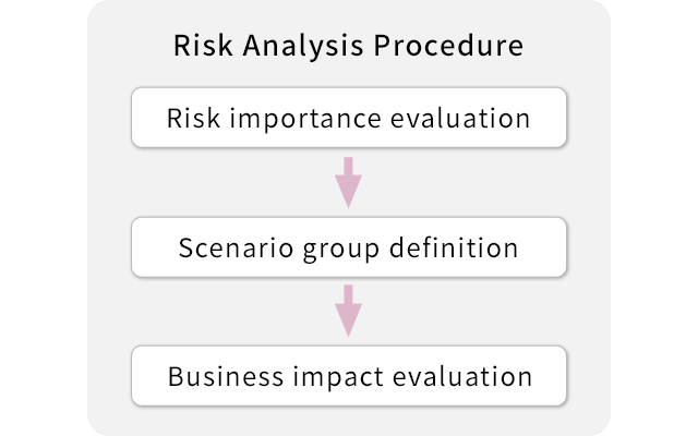 Risk Analysis Procedure
