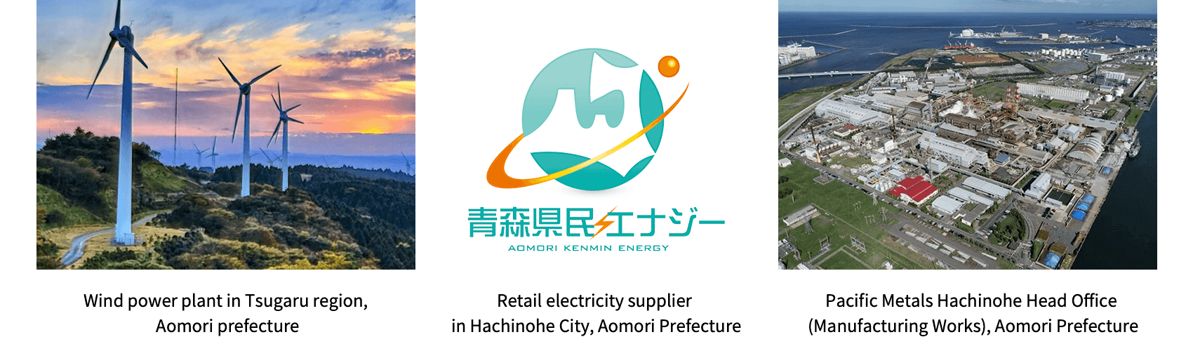 Introduction of locally produced and locally consumed renewable energy (produced in Aomori Prefecture)
